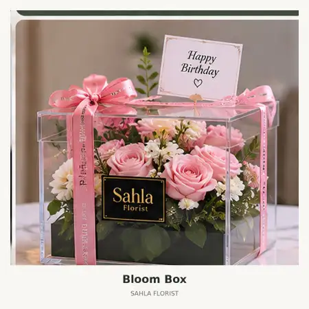 Bloom Box Palu